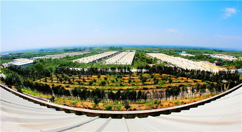 謀定后動(dòng)譜華章，氣勢(shì)如虹唱大風(fēng) 論新時(shí)代景區(qū)管理的智慧與氣魄
